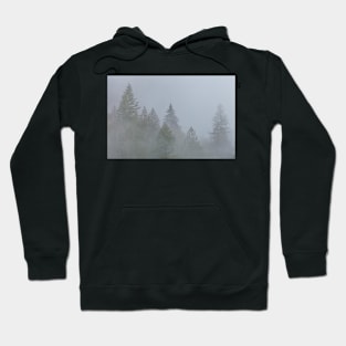 Fog Hoodie